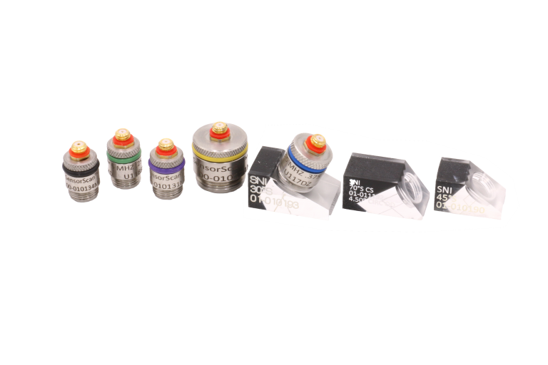 QS & Wedges Family Photo (transparent)